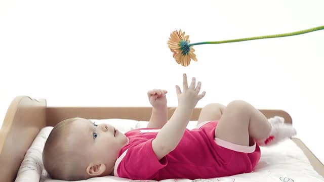宝宝在玩一朵花，想把它拿走视频素材