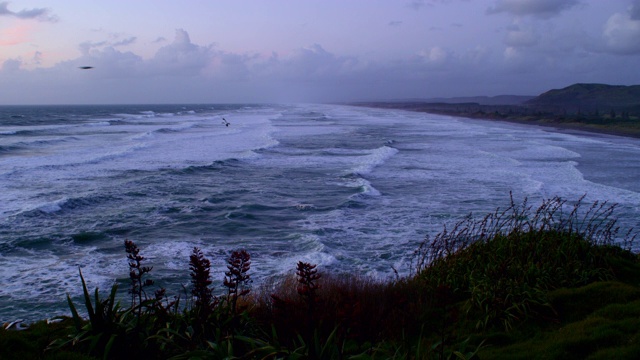 黄昏时的新西兰海洋视频素材