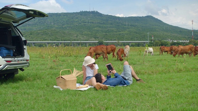 朋友们开车旅行，在乡村自然户外地点野餐。视频素材
