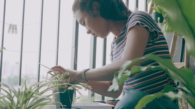 可爱的女人照顾她的植物存货VDO视频素材