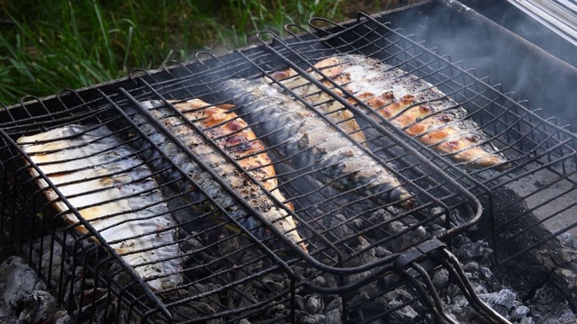 烤架上的鳕鱼，火盆里冒着烟视频下载