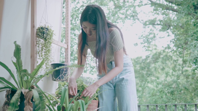 年轻女士种植在她的家阳台存货VDO视频素材