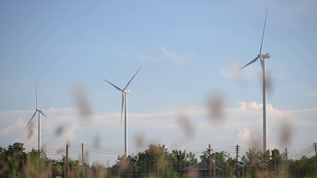 夏天，风力涡轮机在树林中旋转。为绿色生态世界生产可再生能源。视频素材