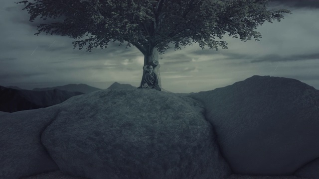 乔达摩佛在菩提树下禅坐视频素材