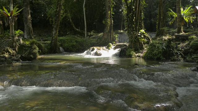 新鲜的水从瀑布流过岩石 通过绿色植物在阳光下在肥沃的森林 视频素材 Id Vcg42n Vcg Com