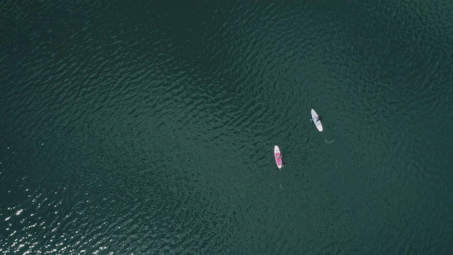 一对夫妇在河上冲浪的鸟瞰图视频素材