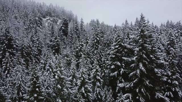 冬天在惠斯勒，不列颠哥伦比亚省，落基山脉，加拿大视频素材