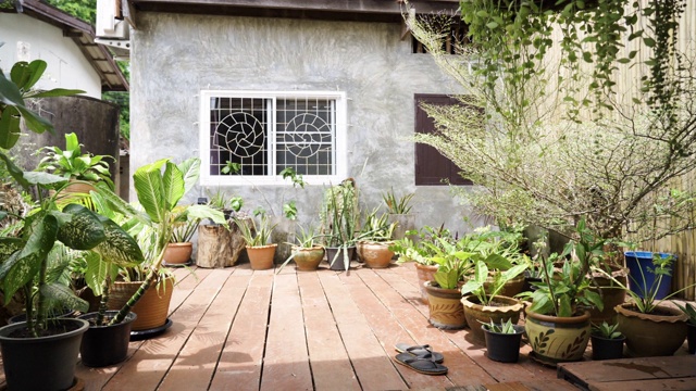 封闭式露天室内花园与郁郁葱葱的热带室内植物视频下载