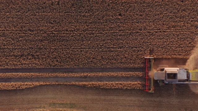 联合收割机在田间收获作物的无人机视频素材