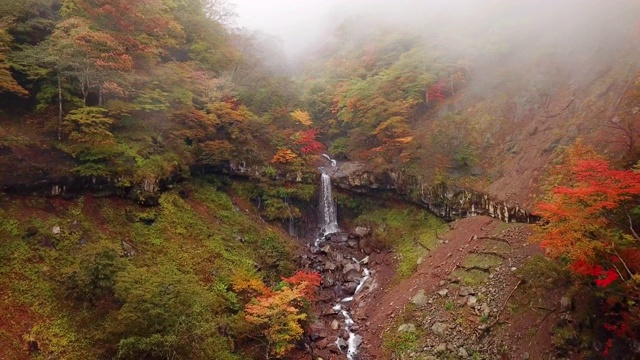 瀑布和森林的鸟瞰图在秋天改变了颜色视频素材