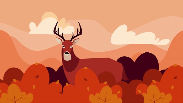 Hello秋季动画与野生驯鹿和丛林场景视频下载