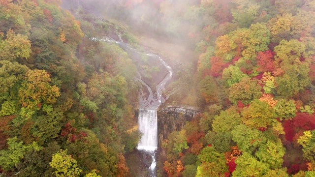 瀑布和森林的鸟瞰图在秋天改变了颜色视频素材