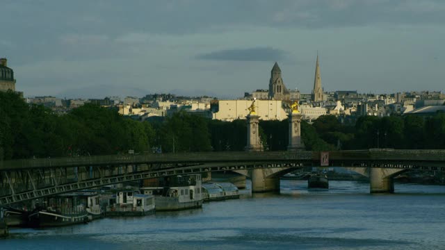 巴黎一座桥上的历史雕像视频素材