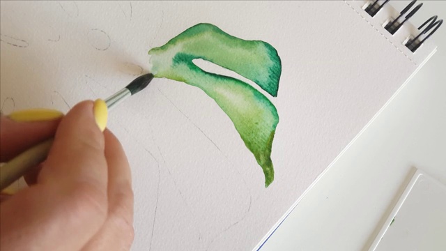 女人用水彩画的Monstera叶子近距离视频素材