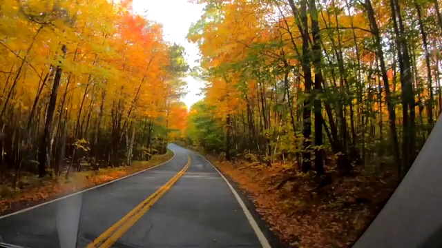 时间推移10X -驾驶在树下，树改变颜色在秋天在佛蒙特州视频素材