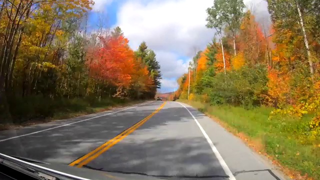 时间推移10X -驾驶下的树在明亮的阳光下，当一些树是光秃秃的秋天在佛蒙特州视频素材