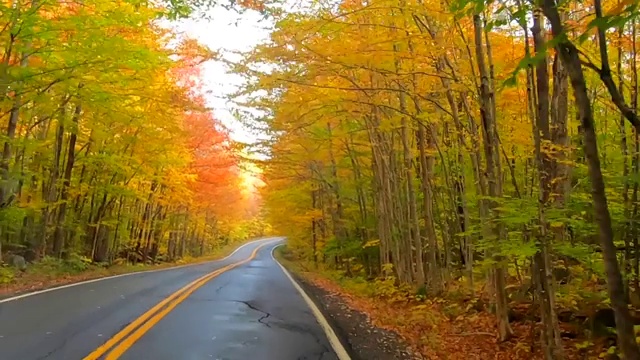 时间推移-驾驶下的树和周围的曲线在全彩在佛蒙特州秋天视频素材