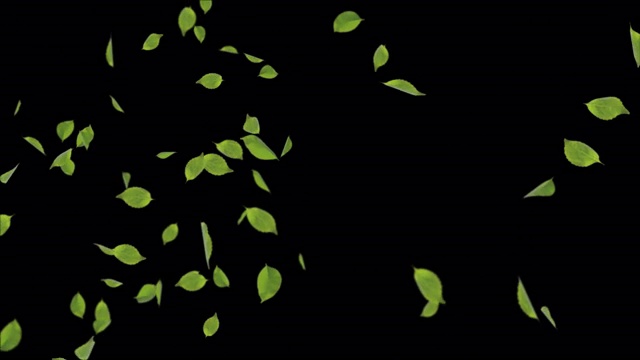 树叶绿色飘落与秋天的叶子逼真的3D 4K阿尔法通道循环动画背景。视频素材