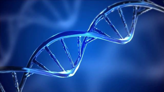 数字DNA基因组双螺旋环动画4k 3D背景。视频下载