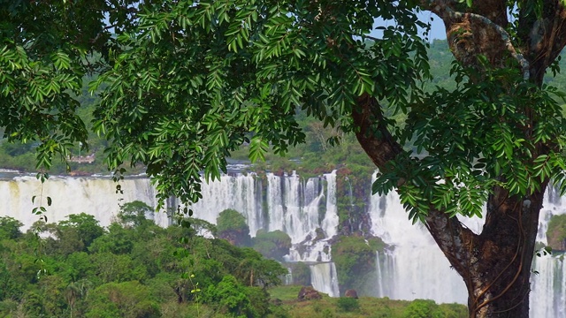 观看伊瓜苏瀑布，Foz do Iguaçu，巴西视频下载