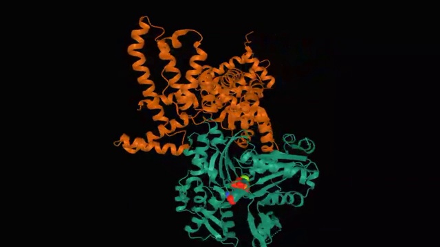 人维生素d结合蛋白(棕色)与骨骼肌动蛋白(绿色)复合物的动画模型视频素材