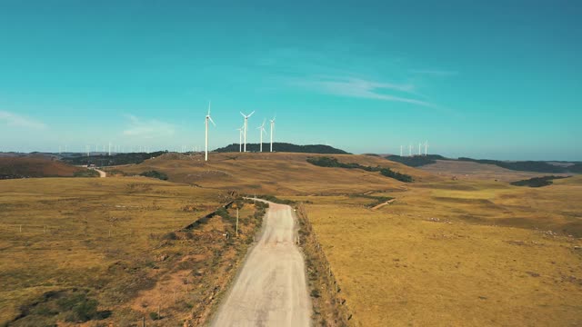 几个风力发电机公园土路视频素材