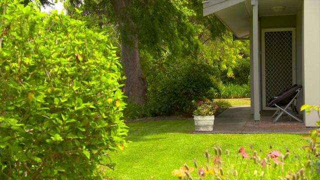 郊区房子后院的草坪视频素材