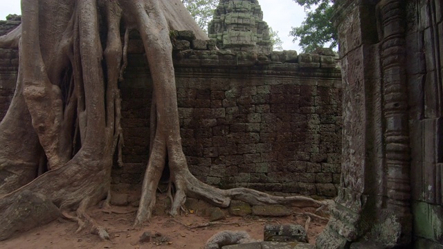 柬埔寨暹粒的Prasat Ta prohm寺庙视频下载