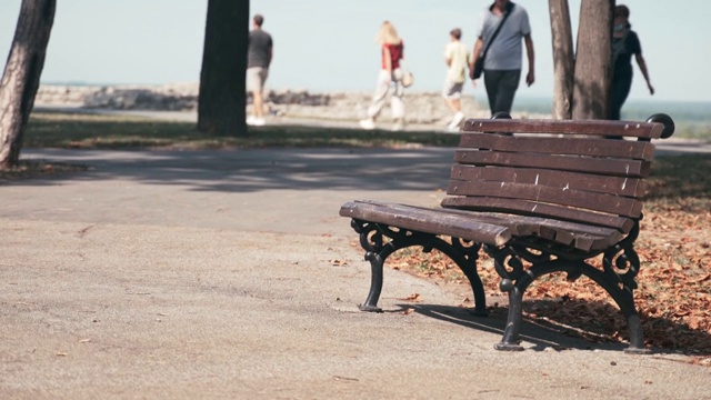 手持电影拍摄的一个空的长凳在秋天的公园视频下载