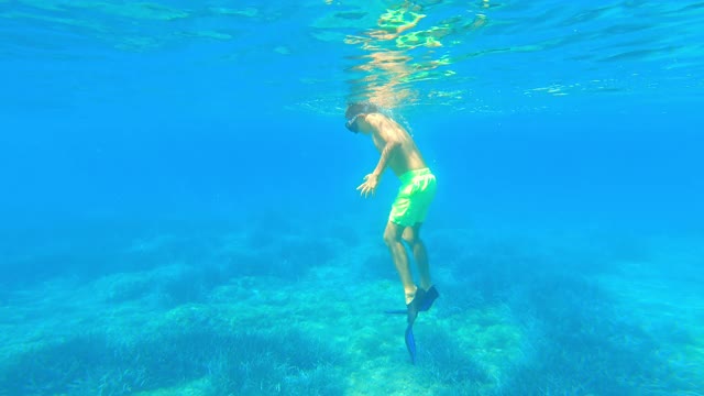 男孩在清澈的大海里潜水，捡贝壳视频素材