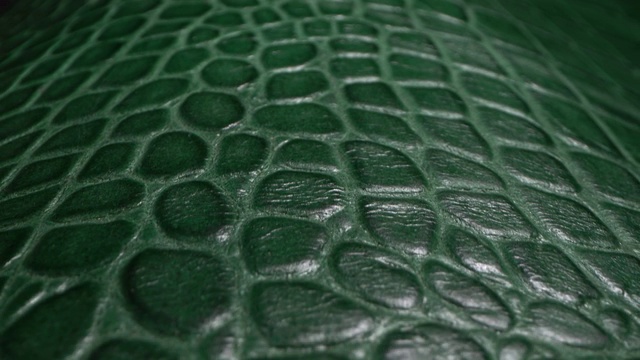 绿色的鳄鱼皮。真实的皮革纹理非常近视频下载