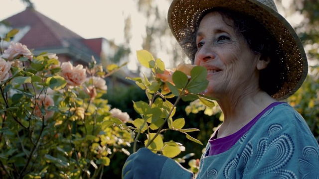 一位老妇人在花园里闻到玫瑰花的香味视频素材