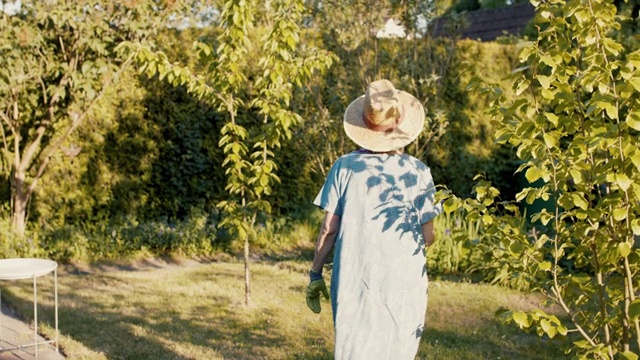 一位老妇人在花园里散步视频素材