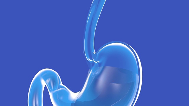 透明玻璃胃的三维动画显示胃食管反流。视频素材
