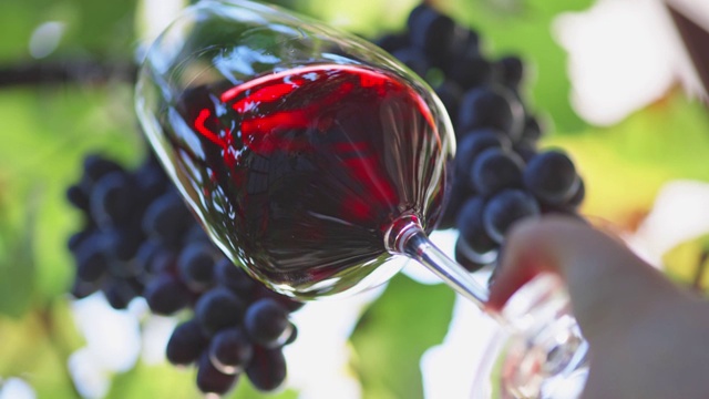 品尝红酒。红酒在葡萄园的背景下微微颤动。意大利酿酒的概念。慢动作拍摄，4K视频下载