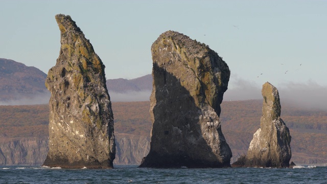 美丽的岩石峰岛在太平洋-三兄弟岩石的背景山脉海岸线视频下载