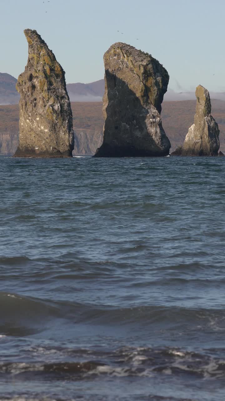 美丽的岩石峰岛在太平洋-三兄弟岩石的背景山脉海岸线。垂直格式视频视频下载
