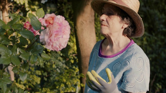 一位老妇人在花园里闻到玫瑰花的香味视频素材