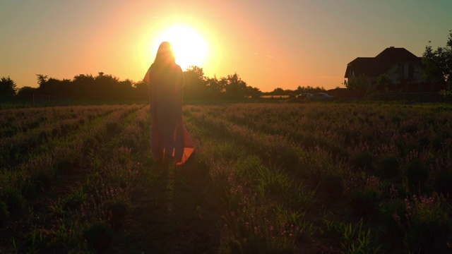 日落时分，女性在田野上行走视频素材