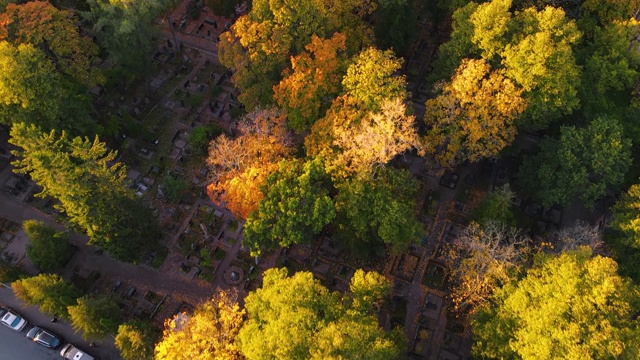 鸟瞰图的秋天森林日落在赫尔辛基芬兰。视频素材