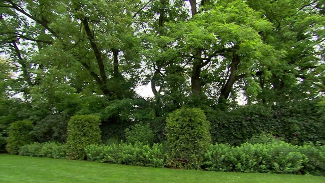 植物在花园视频下载