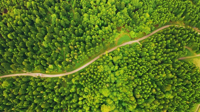 无人机俯瞰森林中的道路视频素材