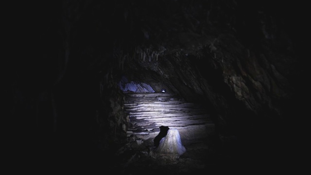 熊的洞穴视频素材