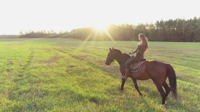 黑发女孩的长发在风中飘动，骑着马在草地上背对着太阳。视频下载