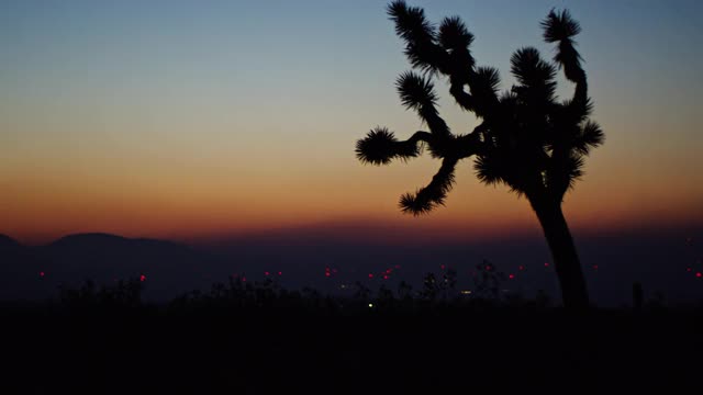 加州莫哈韦沙漠手持射击风力发电视频素材