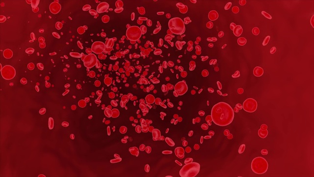 人体静脉内流动的红细胞。病毒相关健康问题4K 3D Alpha通道循环动画。视频素材