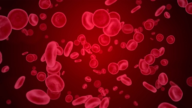 红血细胞在静脉或动脉中流动。3d渲染4k动画。视频下载