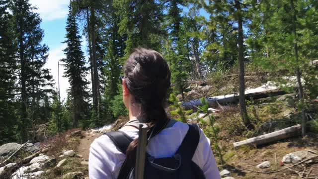 黄石国家公园妇女步行森林小径地热位置视频素材
