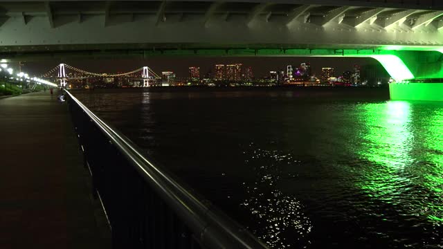东洲古里公园的步道在晚上通往彩虹桥。Toyosu-Ohashi桥。视频下载