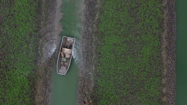 高角度拍摄，无人机在漂浮的花园上空飞行。航拍缅甸美丽的茵莱湖。东南亚无人机拍摄，令人惊叹的水上农场视频素材